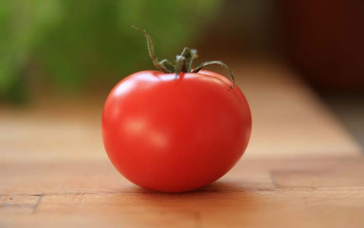 curiosidades sobre o tomate