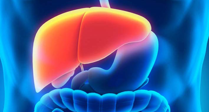 15 Fatos e informações curiosas sobre a Hepatite